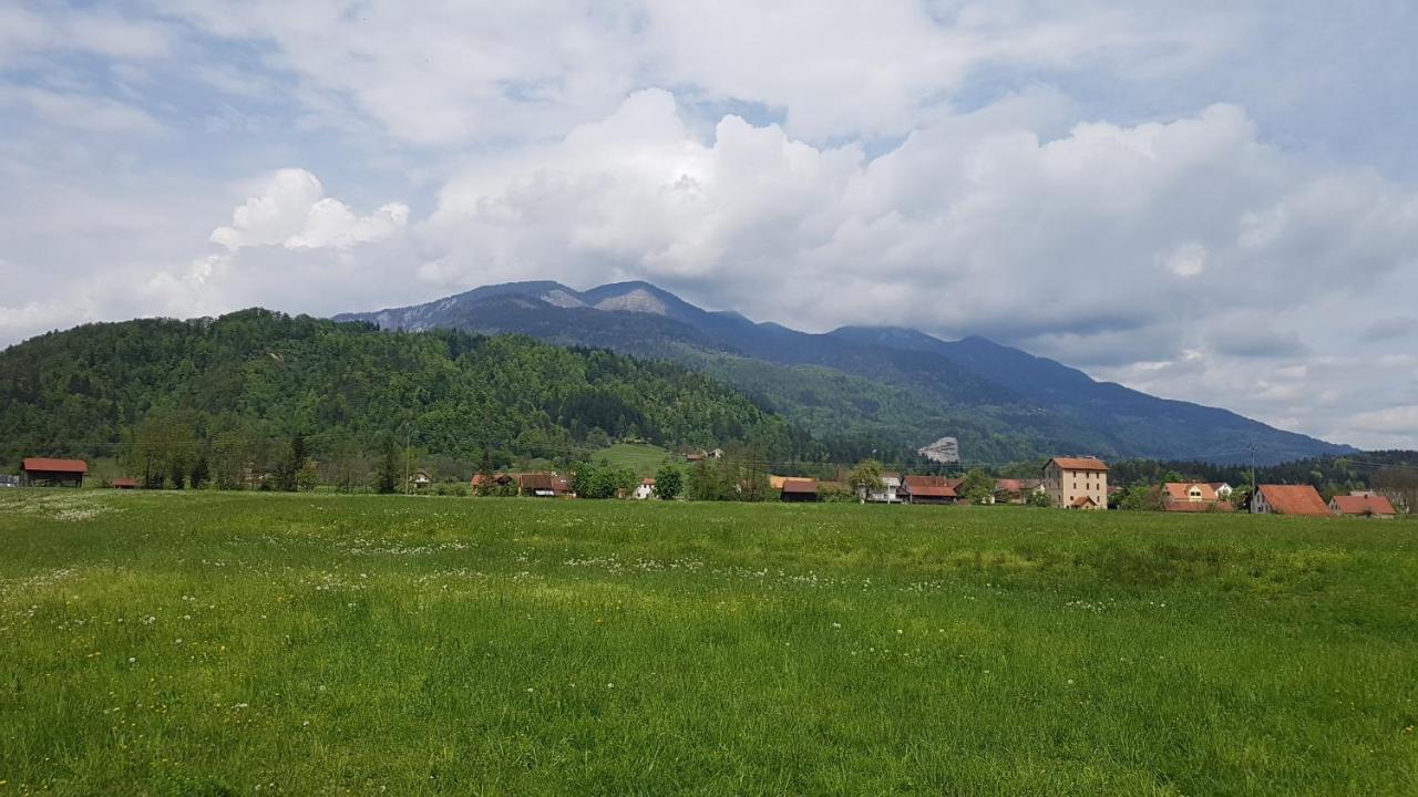 Neli Recica ob Savinji